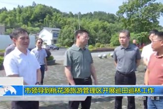 市领导到桃花源旅游管理区开展巡田巡林工作