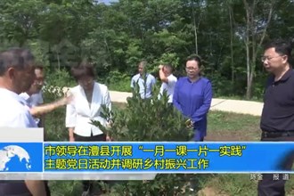 市领导在澧县开展“一月一课一片一实践”主题党日活动