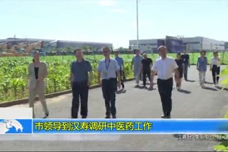 市领导到汉寿调研中医药工作