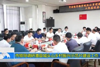 市领导调研澧县城头山乡村振兴示范片建设工作