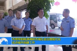 市领导到桃源调研市域社会治理现代化试点城市创建工作