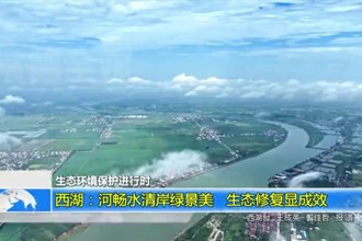 西湖：河畅水清岸绿景美 生态修复显成效