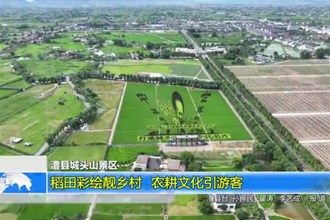 澧县城头山景区：稻田彩绘靓乡村 农耕文化引游客