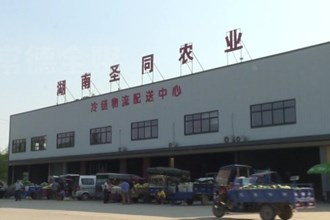 汉寿：蔬菜住进“冷”房子