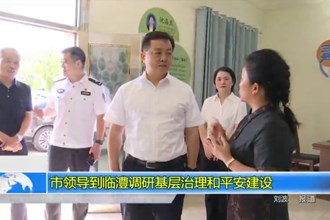市领导到临澧调研基层治理和平安建设