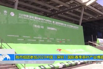 常德市组团参加2023中国（深圳）国际春季茶叶产业博览会