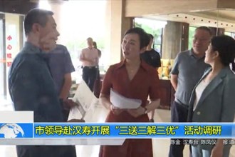 市领导赴汉寿开展“三送三解三优”活动调研