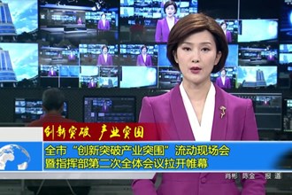创新突破 产业突围(7.11)