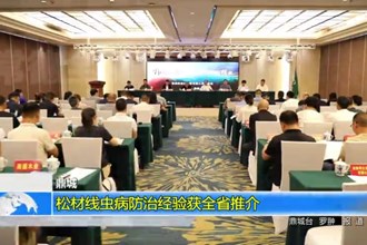 鼎城：松材线虫病防治经验获全省推介