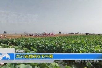 西洞庭：2023首届荷花节开幕
