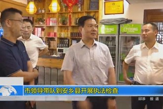 市领导带队到安乡县开展执法检查