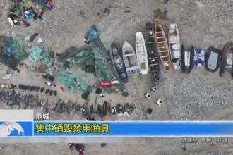 鼎城：集中销毁禁用渔具