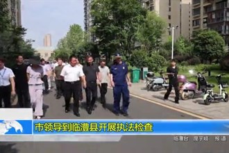 市领导到临澧县开展执法检查