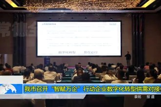 常德市“智赋万企”行动企业数字化转型供需对接会召开