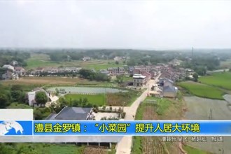 澧县金罗镇：“小菜园”提升人居大环境