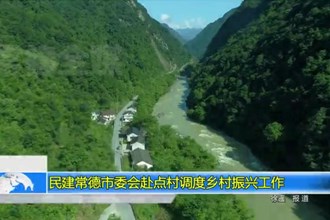 民建常德市委会赴点村调度乡村振兴工作