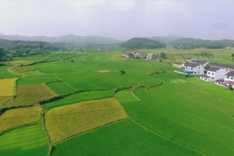 “田长+检察长”协作机制保障粮食安全