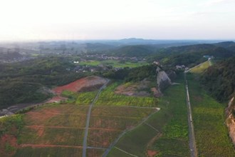 只此青绿润沅澧 生态修复的常德样本