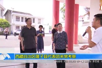 西藏自治区隆子县代表团来常考察