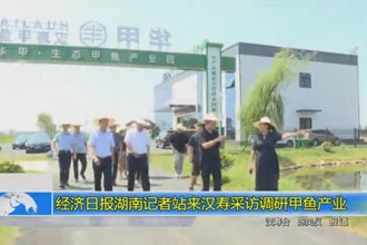 经济日报湖南记者站来汉寿采访调研甲鱼产业