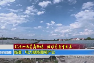 临澧：电力赋能葡萄产业