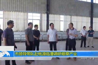 市领导带队赴桃源临澧调研烟草产业