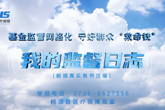 【安全规范用基金 守好人民看病钱】桃源医保：我的监督日志