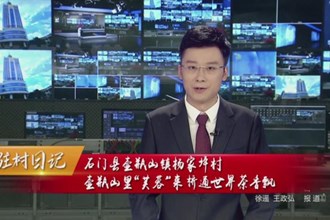 石门县壶瓶山镇杨家坪村 壶瓶山里“芙蓉”来 桥通世界茶香飘