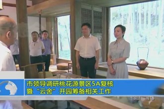 市领导调研桃花源景区5A复核暨“云舍”开园筹备相关工作