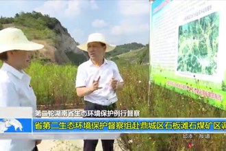 省第二生态环境保护督察组赴鼎城区石板滩石煤矿区调研