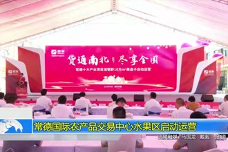 常德国际农产品交易中心水果区启动运营