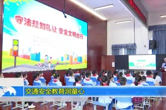 交通安全主题教育润童心