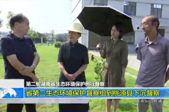 省第二生态环境保护督察组到桃源县下沉督察