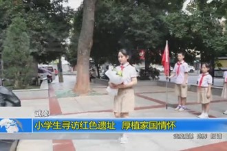 武陵：小学生寻访红色遗址 厚植家国情怀