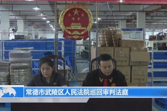 武陵区法院德山法庭： 巡回审判进园区 优化营商环境
