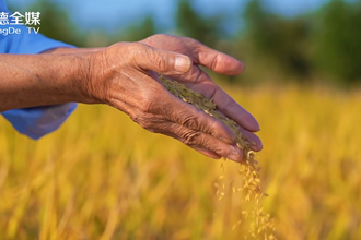 【二十四节气】秋分