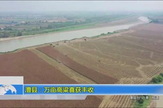 澧县：万亩高粱喜获丰收