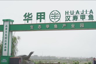 周振宇赴汉寿县调研