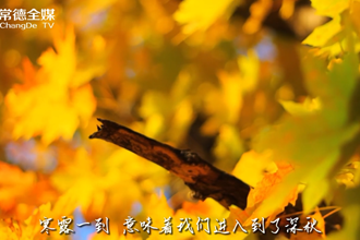 【二十四节气】寒露