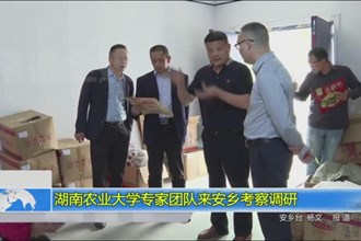 湖南农业大学专家团队来安乡考察调研