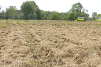 鼎城：秸秆循环利用 “点草成金”