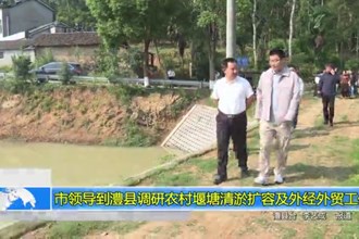 市领导到澧县调研农村堰塘清淤扩容及外经外贸工作