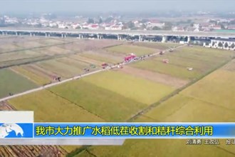 常德市大力推广水稻低茬收割和秸秆综合利用