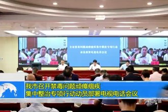 常德市召开禁毒问题顽瘴痼疾集中整治专项行动动员部署电视电话会议