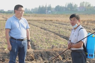 各地抢抓有利时机开展油菜播种