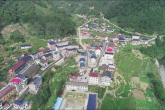 围绕民生实事和产业发展“走找想促”活动走深走实