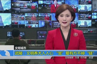 武陵：文明养犬入人心 “宠”爱有方不掉“链”