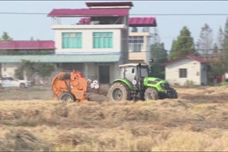 安乡：提供秸秆打捆离田服务 推动农业绿色发展
