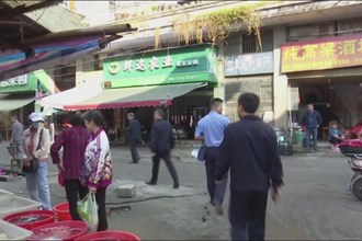 文明养犬 提升幸福指数