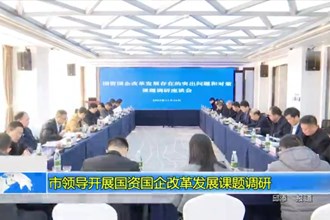 市领导开展国资国企改革发展课题调研